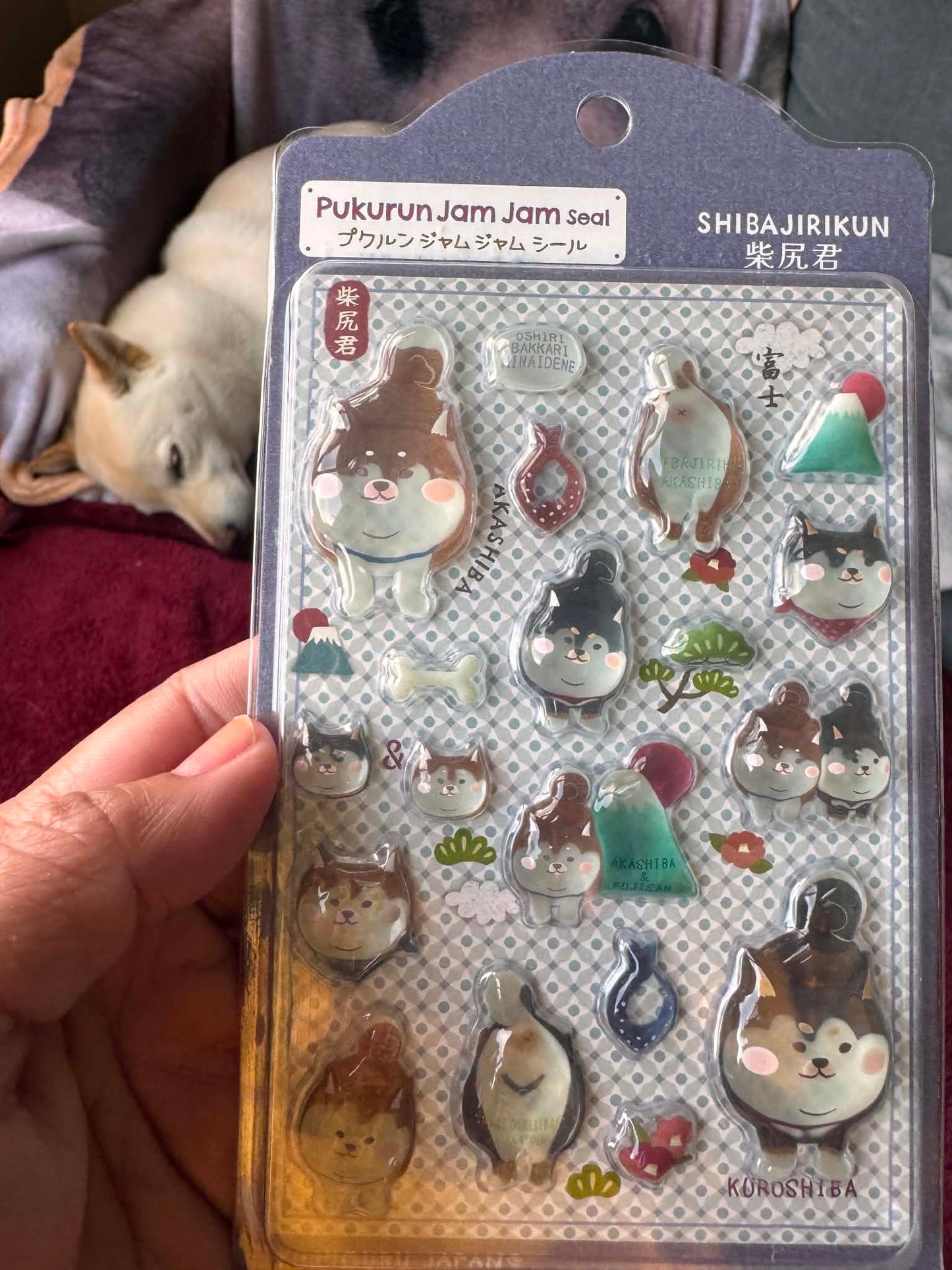 Shibajirikun Pukurun Jam Jam Sticker Seal — Japan Import 🐕🇯🇵