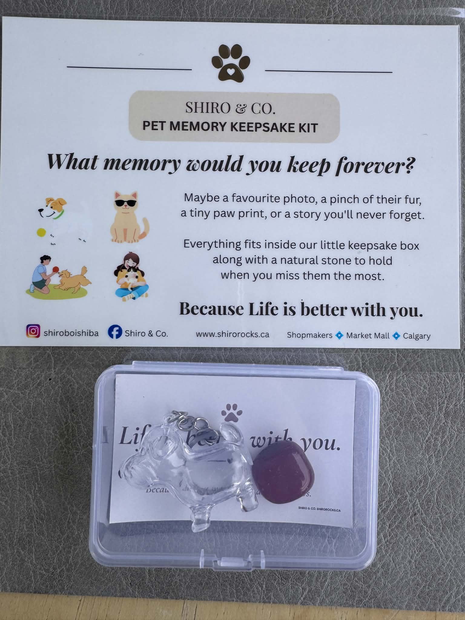 Shiro & Co. Pet Memory Keepsake Kit - dog charm with amethyst stone in clear keepsake box